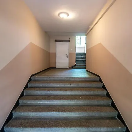 Vitoshka Attic